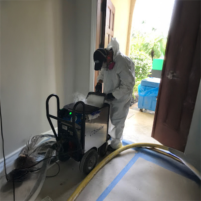 Expert Mold Removal in Wellington, FL