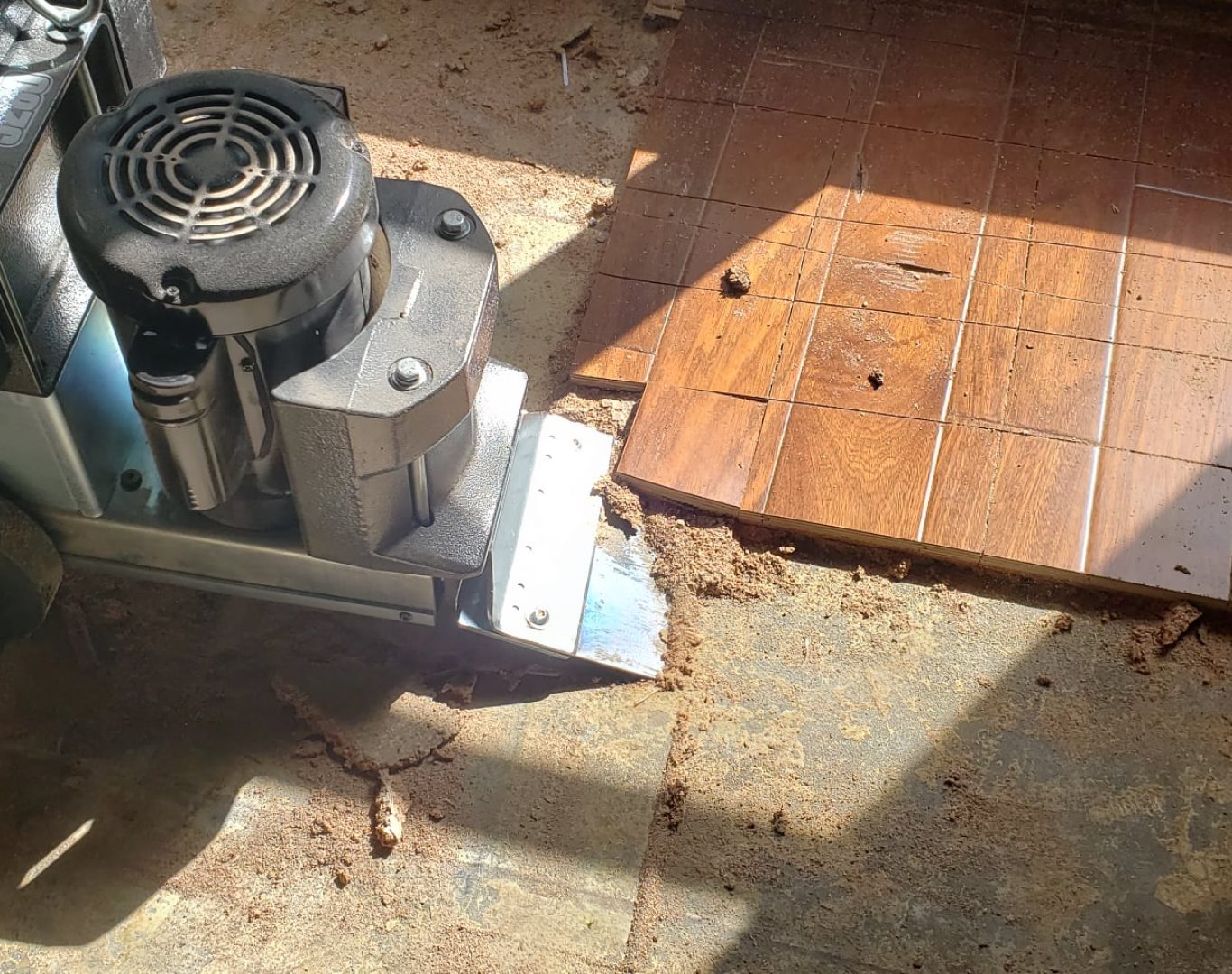 Expert Mold Removal in Wellington, FL