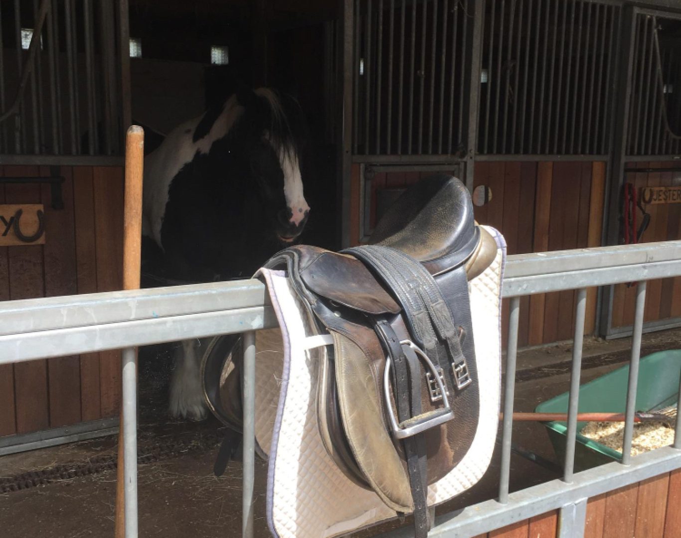 Equestrian Property Restoration Near Me